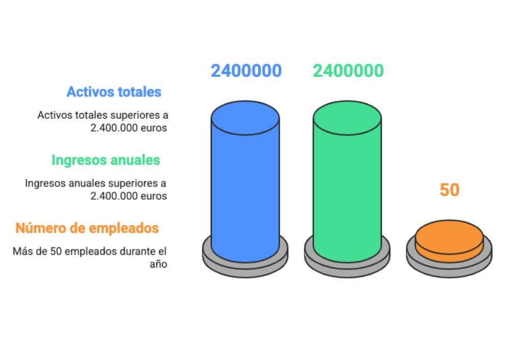 auditorias fundaciones